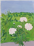 Jane Freilicher - Peonies (Paintings) h: 30 x w: 22.2 in / h: 76.2 x w: 56.4 cm