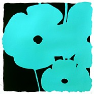 Donald Sultan - Poppies June 5 (Aqua) (Prints and Multiples) h: 39 x w: 39 in / h: 99.1 x w: 99.1 cm