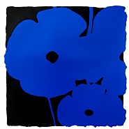Donald Sultan - Poppies June 6 (Blue), 2011 (Prints and Multiples) h: 39 x w: 39 in / h: 99.1 x w: 99.1 cm