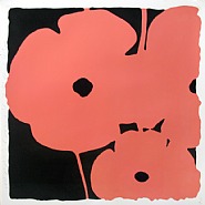 Donald Sultan - Poppies June 4 (Coral) (Prints and Multiples) h: 39 x w: 39 in / h: 99.1 x w: 99.1 cm