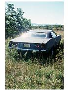 Richard Prince - Untitled (Upstate) (The Whitney Museum of American Art 75th Anniversary Photography Portfolio) (Photographs)