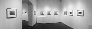 “Monogatari of Pine – solo exhibition of Suda Issei”