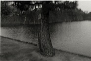 “Monogatari of Pine – solo exhibition of Suda Issei”