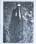 Daido Moriyama - Untitled (Photographs) h: 55 x w: 48 cm / h: 21.7 x w: 18.9 in