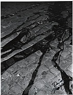 Daido Moriyama - Untitled (Photographs) h: 34 x w: 27 cm / h: 13.4 x w: 10.6 in