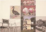 Robert Rauschenberg - Big Pile of Bones (Scenarios) (Paintings)
