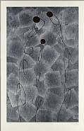 Gary Hume - Brown, Brown, Silver and Brown (Prints and Multiples) h: 48 x w: 30.9 in / h: 121.9 x w: 78.5 cm