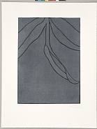 Gary Hume - Here's Flowers (Prints and Multiples)