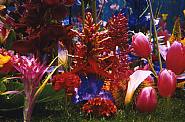 Marc Quinn - Garden (detail) (Prints and Multiples) h: 31.8 x w: 49 in / h: 80.8 x w: 124.5 cm