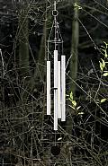 Pierre Huyghe - All But One (Edition for Parkett 66)