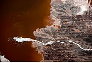Expectoration, Darrow, LA