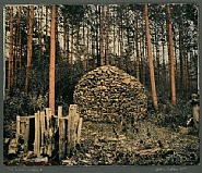 My Colorful Woodpile