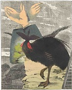 Flying Lesson