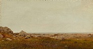 John Frederick Kensett - Newport Study: Rocks near Newport (Paintings) h: 9.1 x w: 16.2 in / h: 23.1 x w: 41.1 cm