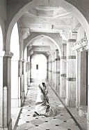 Palitana #453, Gujarat, India