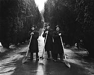 Gravediggers Dublin, 1966