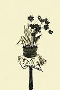 David Hockney - Black Tulips (Prints and Multiples) h: 44 x w: 30 in / h: 111.8 x w: 76.2 cm