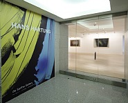Installation Photograph: Entrance