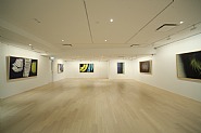 Installation Photograph