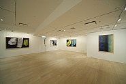 Installation Photograph