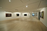 Installation Photograph