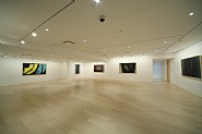 Installation Photograph