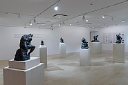 Installation Image