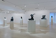 Installation Image