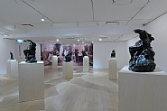 Installation Image