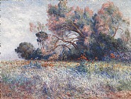 Ferdinand Puigaudeau - Tamaris et champs de Coquelicots (Paintings)