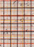 Mark Francis - Field (Layered Composition) (Paintings) h: 213 x w: 152 cm / h: 83.9 x w: 59.8 in