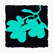 Donald Sultan - Aqua, May 10, 2012 (Prints and Multiples) h: 24 x w: 24 in / h: 61 x w: 61 cm