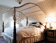 Alexander Braun - Endymion #89, Stockbridge, Massachusetts, USA, 2009