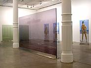 Installation view from <I>Transillumination</I>