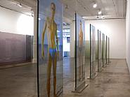 Installation view from <I>Transillumination</I>