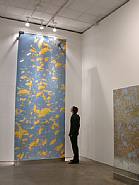 Installation view from <I>Transillumination</I>