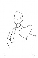 Ellsworth Kelly - Camellia I (Prints and Multiples) h: 35 x w: 24 in / h: 88.9 x w: 61 cm