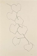 Ellsworth Kelly - Grape Leaves II (Prints and Multiples)