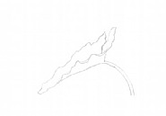 Ellsworth Kelly - Leaf IX (Prints and Multiples)