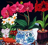 Magenta Orchid