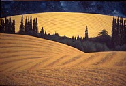 Palouse Storm
