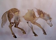 Painted Pony