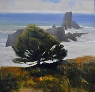 Oregon Lookout