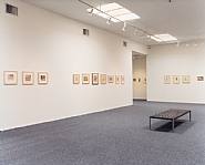 Exhibition View #2