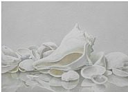 Apple White