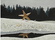 Star Pool