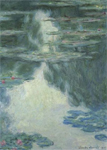 Nymphéas, temps gris