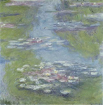 Nympheas