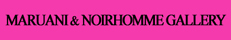 Maruani & Noirhomme Gallery