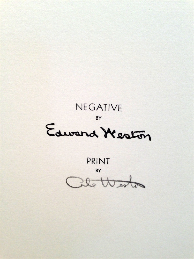 Cabbage Fragment by Edward Weston on artnet Auctions